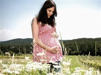 &quot;Pregnancy Miracle Lisa Pdf