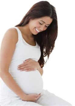 &quot;Pregnancy Miracle Guide Free Download