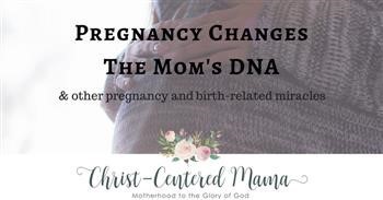 &quot;Pregnancy Miracle Book Online Free