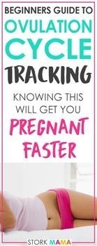 &quot;Reviews of Pregnancy Miracle System