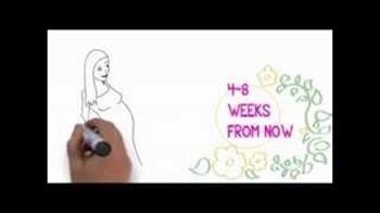 &quot;Miracle Pregnancy Reviews