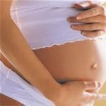 &quot;Pregnancy Miracle Pdf Download