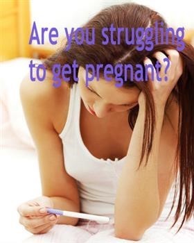 &quot;Pregnancy Miracle Guide Free Download