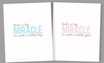 &quot;Pregnancy Miracle Tm System Free Download